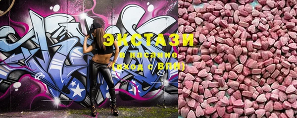 ECSTASY Богородицк