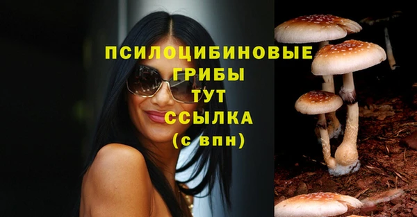 мет Покачи