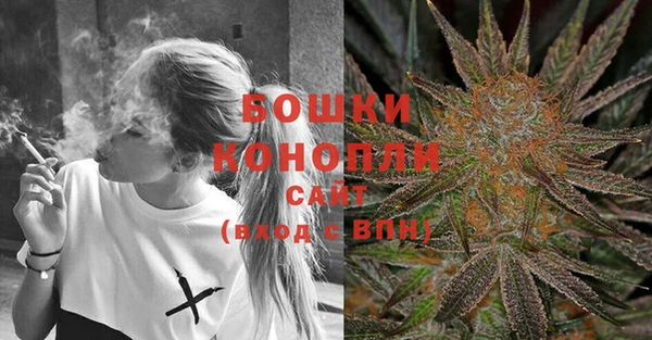ECSTASY Богородицк