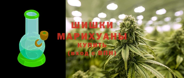 ECSTASY Богородицк