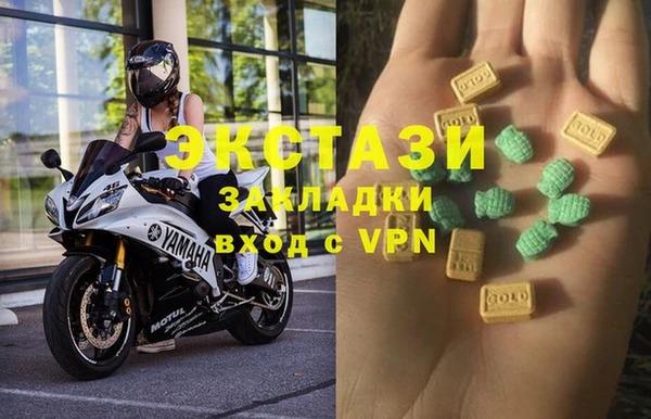 ECSTASY Богородицк
