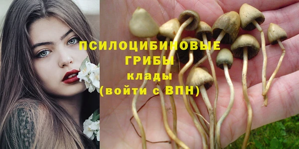 ECSTASY Богородицк