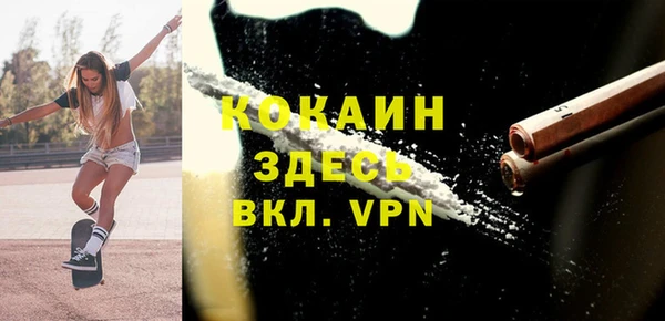 ECSTASY Богородицк