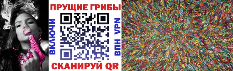 Псилоцибиновые грибы Cubensis  Железногорск-Илимский 